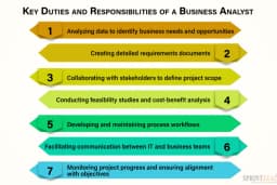 Business Analyst