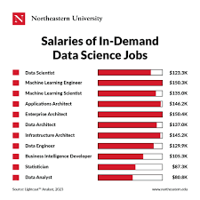 Data Scientist
